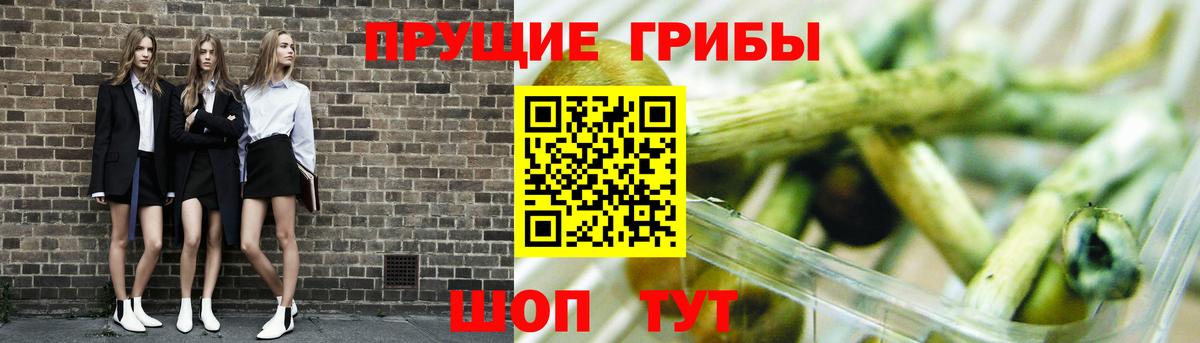 Псилоцибиновые грибы GOLDEN TEACHER  Галлюциногенные грибы прущие грибы  что такое   Камень-на-Оби  Вход с VPN 